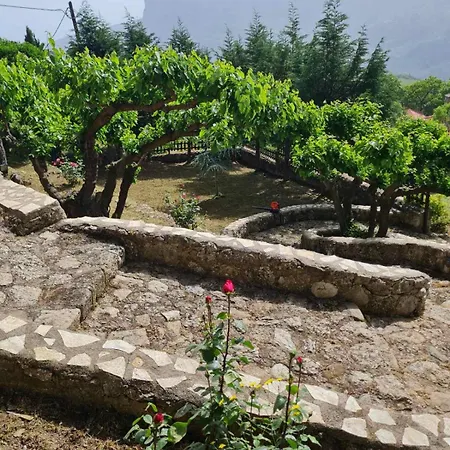 Dimitris-vella